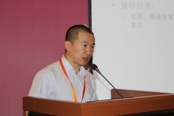 孙正怡