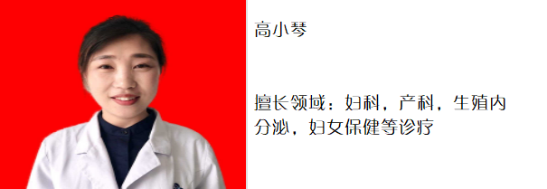 高小琴